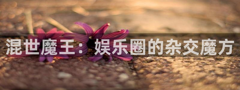 奇亿娱乐app：混世魔王：娱乐圈的杂交魔方