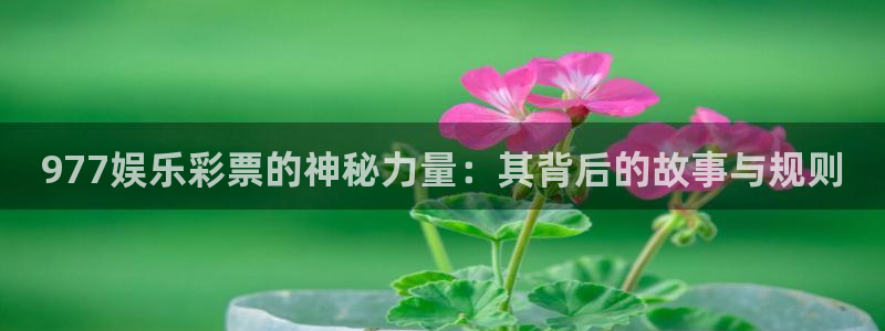 奇亿娱乐平台：977娱乐彩票的神秘力量：其背后的故事与规则