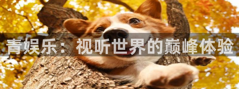 奇亿娱乐app：青娱乐：视听世界的巅峰体验