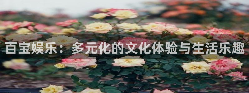 奇亿娱乐手机app下载：百宝娱乐：多元化的文化体验与生活乐趣