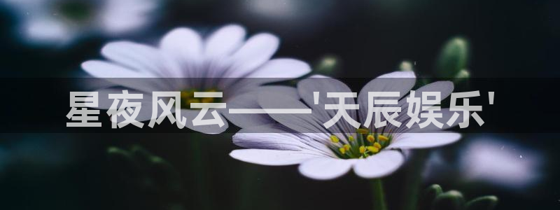 upload/20250701114914.jpg